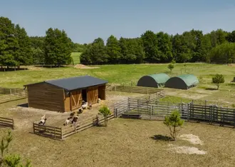 Widok z góry na owczarnię i owce