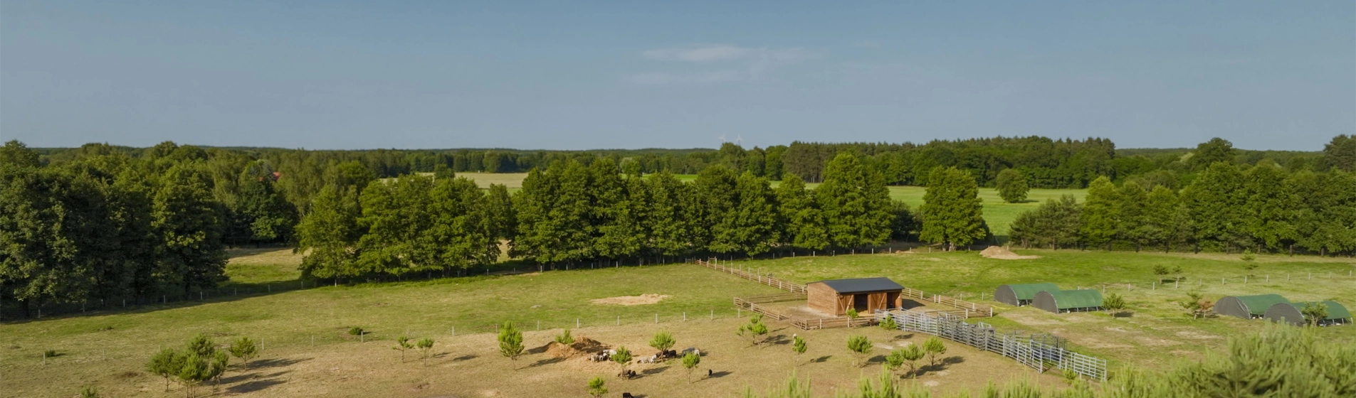 Pastwiska i owczarnia z loty ptaka